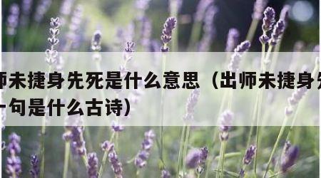 出师未捷身先死是什么意思（出师未捷身先死下一句是什么古诗）