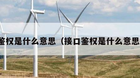 鉴权是什么意思（接口鉴权是什么意思）