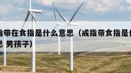 戒指带在食指是什么意思（戒指带食指是什么意思 男孩子）