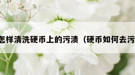 怎样清洗硬币上的污渍（硬币如何去污）