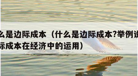 什么是边际成本（什么是边际成本?举例说明边际成本在经济中的运用）