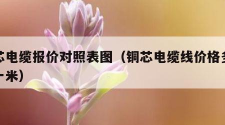 铜芯电缆报价对照表图（铜芯电缆线价格多少钱一米）