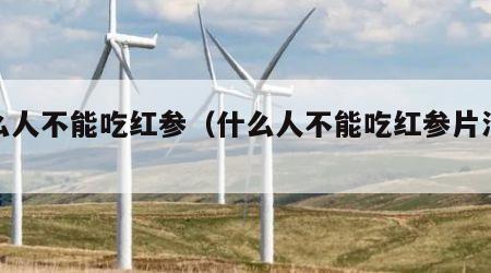 什么人不能吃红参（什么人不能吃红参片泡水喝）