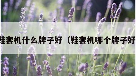 鞋套机什么牌子好（鞋套机哪个牌子好）