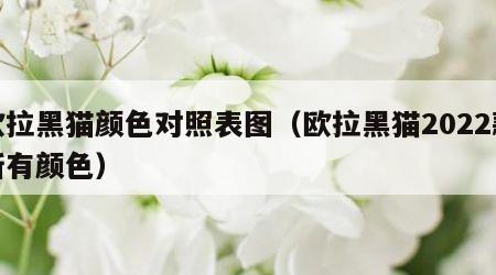 欧拉黑猫颜色对照表图（欧拉黑猫2022款所有颜色）