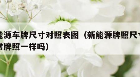 新能源车牌尺寸对照表图（新能源牌照尺寸和正常牌照一样吗）