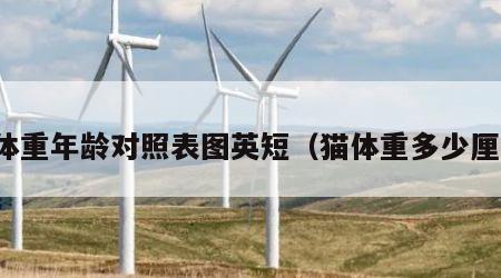 猫体重年龄对照表图英短（猫体重多少厘米）