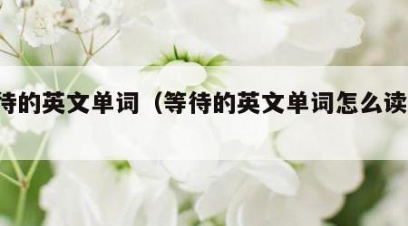 等待的英文单词（等待的英文单词怎么读wait）