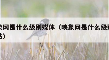 映象网是什么级别媒体（映象网是什么级别的网站）