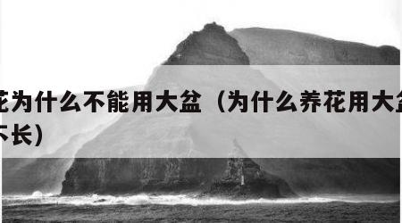 养花为什么不能用大盆（为什么养花用大盆反而不长）