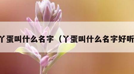 丫蛋叫什么名字（丫蛋叫什么名字好听）