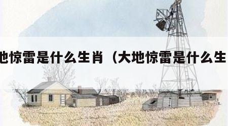 大地惊雷是什么生肖（大地惊雷是什么生肖?）