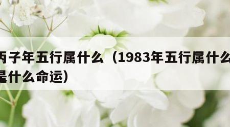 丙子年五行属什么（1983年五行属什么,是什么命运）