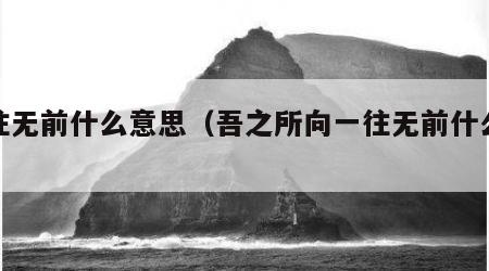 一往无前什么意思（吾之所向一往无前什么意思）