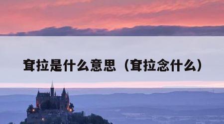 耷拉是什么意思（耷拉念什么）