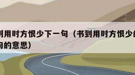 书到用时方恨少下一句（书到用时方恨少的下一句的意思）