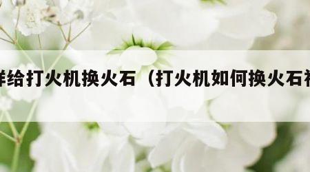 怎样给打火机换火石（打火机如何换火石视频）