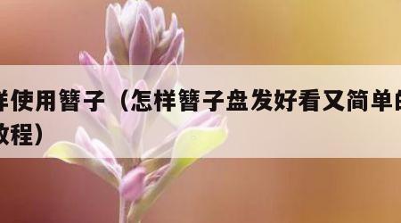 怎样使用簪子（怎样簪子盘发好看又简单的视频教程）