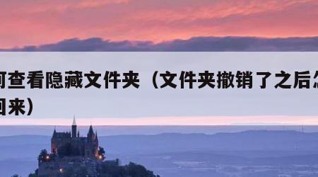 如何查看隐藏文件夹（文件夹撤销了之后怎么找回来）