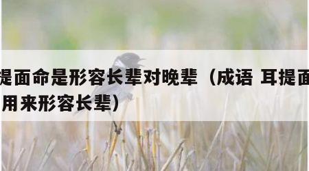 耳提面命是形容长辈对晚辈（成语 耳提面命 是用来形容长辈）