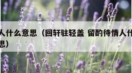 情人什么意思（回轩驻轻盖 留酌待情人什么意思）