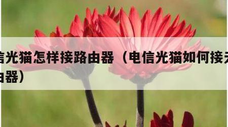 电信光猫怎样接路由器（电信光猫如何接无线路由器）