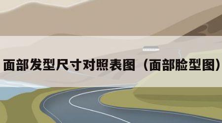 面部发型尺寸对照表图（面部脸型图）