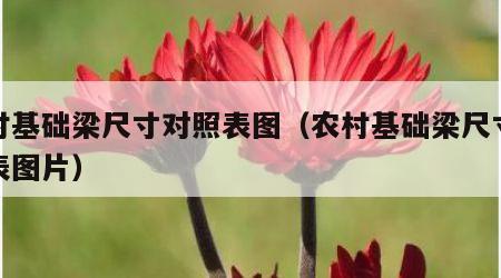 农村基础梁尺寸对照表图（农村基础梁尺寸对照表图片）