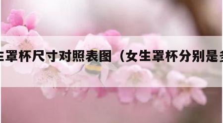 女生罩杯尺寸对照表图（女生罩杯分别是多少）