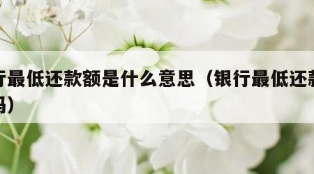 银行最低还款额是什么意思（银行最低还款合适吗）