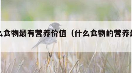什么食物最有营养价值（什么食物的营养最高）