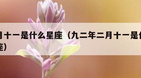 二月十一是什么星座（九二年二月十一是什么星座）