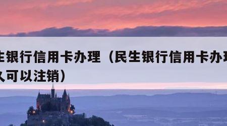 民生银行信用卡办理（民生银行信用卡办理后多久可以注销）