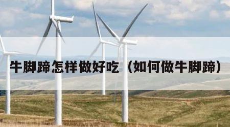 牛脚蹄怎样做好吃（如何做牛脚蹄）