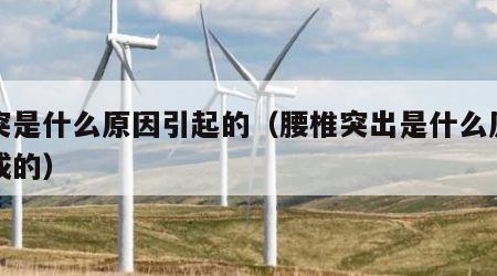 腰突是什么原因引起的（腰椎突出是什么原因造成的）