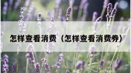 怎样查看消费（怎样查看消费券）