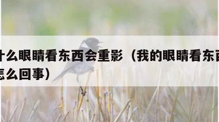 为什么眼睛看东西会重影（我的眼睛看东西重影怎么回事）