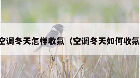 空调冬天怎样收氟（空调冬天如何收氟）