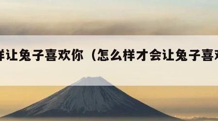 怎样让兔子喜欢你（怎么样才会让兔子喜欢你）
