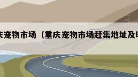 重庆宠物市场（重庆宠物市场赶集地址及时间）