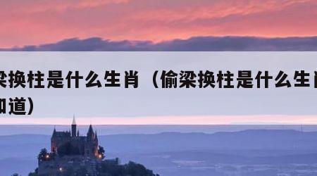偷梁换柱是什么生肖（偷梁换柱是什么生肖百度知道）