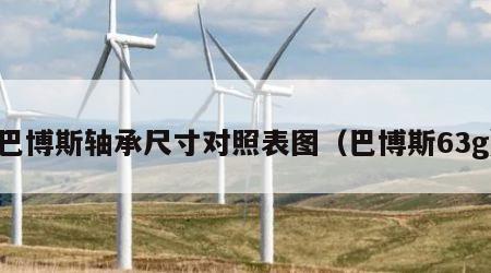 巴博斯轴承尺寸对照表图（巴博斯63g）