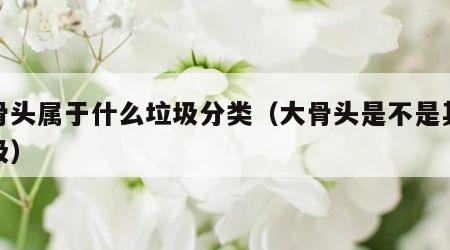 大骨头属于什么垃圾分类（大骨头是不是其他垃圾）