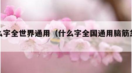什么字全世界通用（什么字全国通用脑筋急转弯）