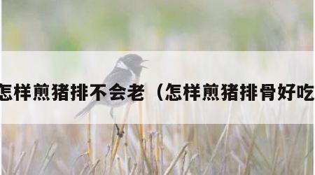 怎样煎猪排不会老（怎样煎猪排骨好吃）