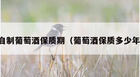 自制葡萄酒保质期（葡萄酒保质多少年）