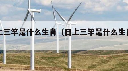 日上三竿是什么生肖（日上三竿是什么生肖动物）