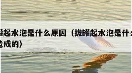 拔罐起水泡是什么原因（拔罐起水泡是什么原因造成的）