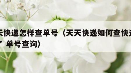 天天快递怎样查单号（天天快递如何查快递到哪了 单号查询）
