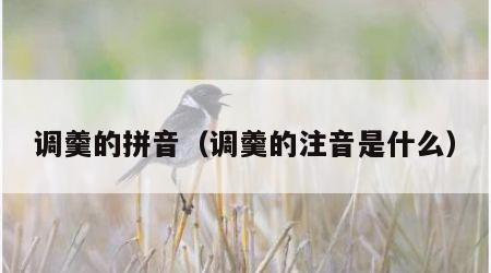 调羹的拼音（调羹的注音是什么）